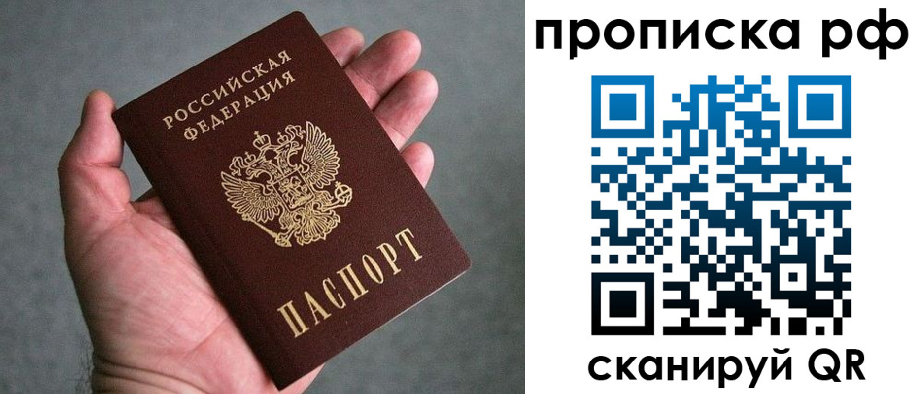 купить прописку в Дубовке
